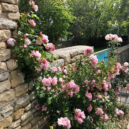 塞内查尔酒店 酒店 3*