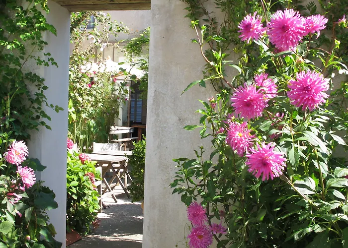 Le Sénéchal Ars-en-Ré